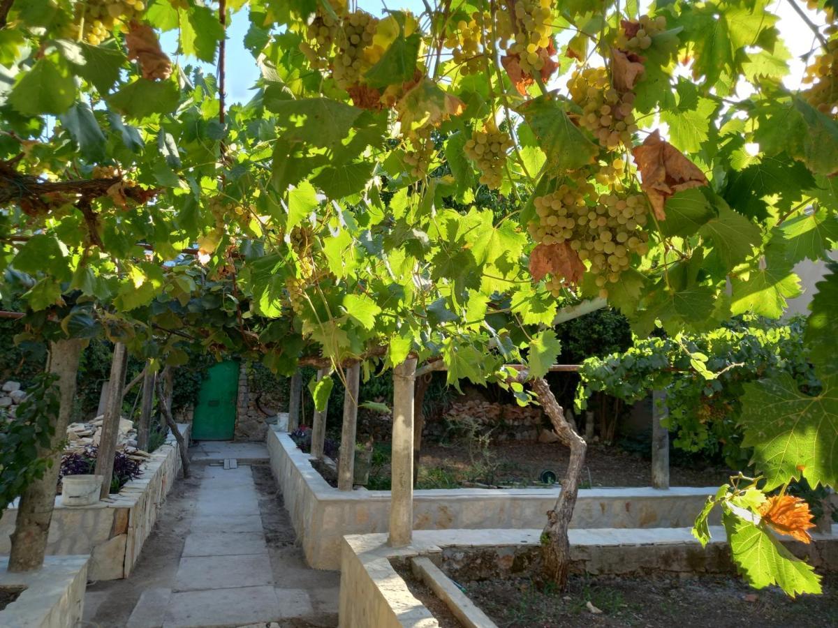 Stone Oasis Vito Διαμέρισμα Ντουμπρόβνικ Εξωτερικό φωτογραφία